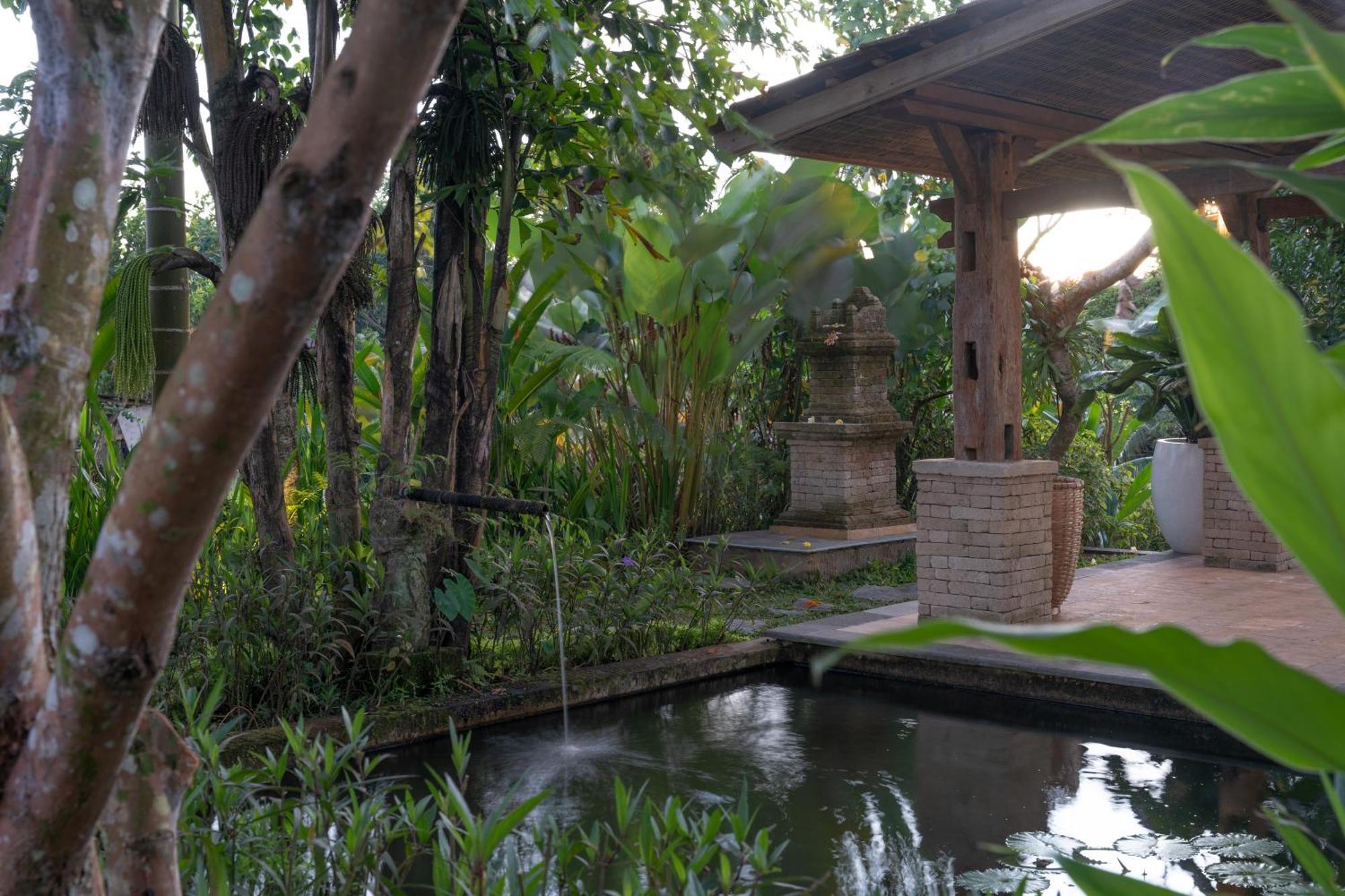Umah Capung Sebatu Villas Tegallalang  Kültér fotó